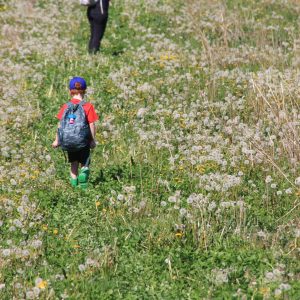 NLE participant walking through a meadow at Baltimore Woods.