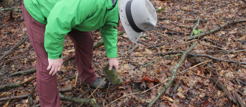 Person log rolling at Baltimore Woods Nature Center.