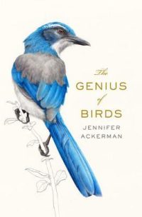 The Genius of Birds by Jennifer Ackerman book cover