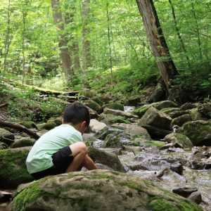 Child in a stream at Baltimore Woods