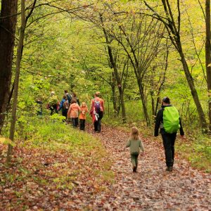 Trail School group walking through the fall foliage at Baltimore Woods.