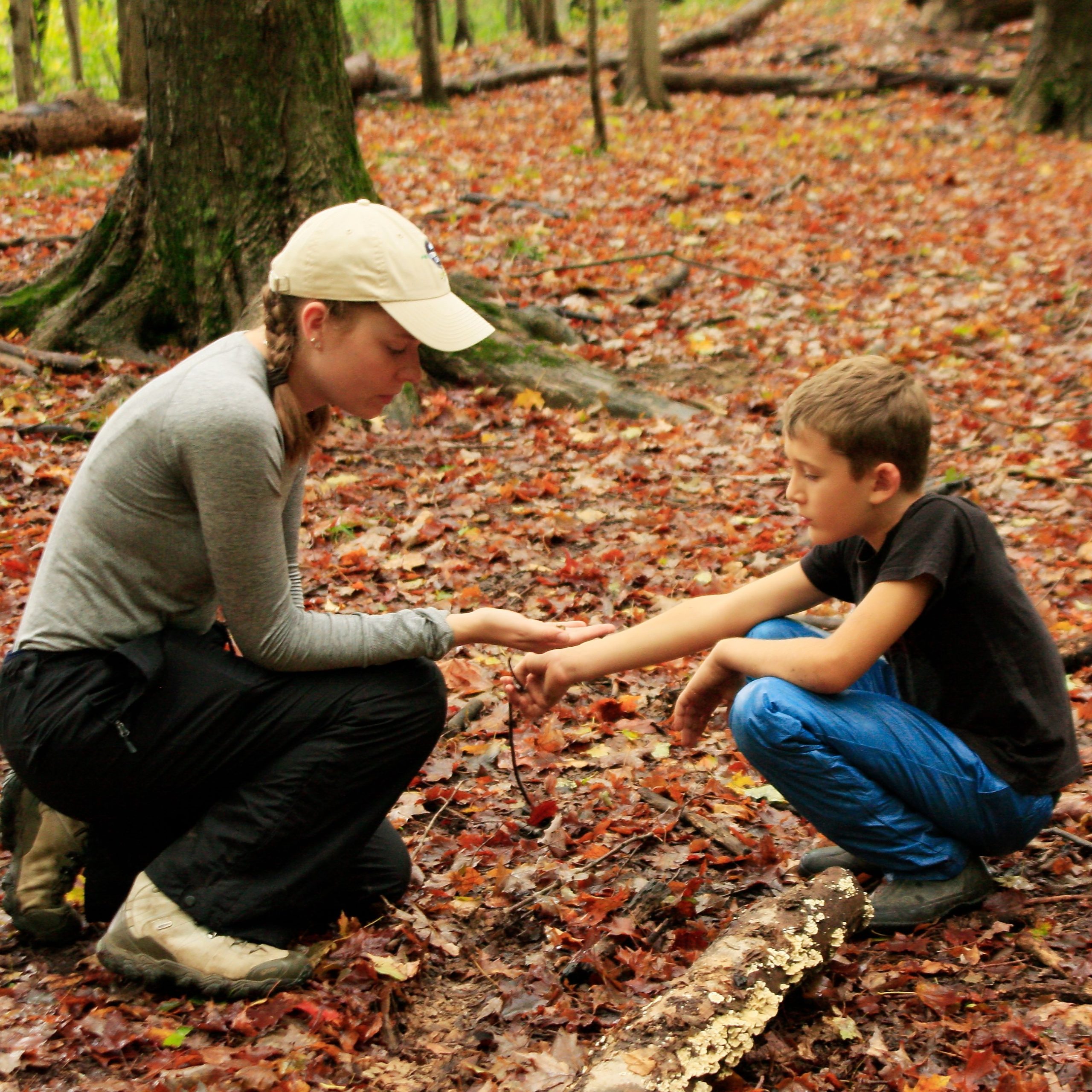 Trail School educator teaching a child in the leaves at Baltimore Woods.