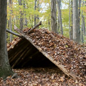 Leaf and stick shelter at Baltimore Woods Nature Center