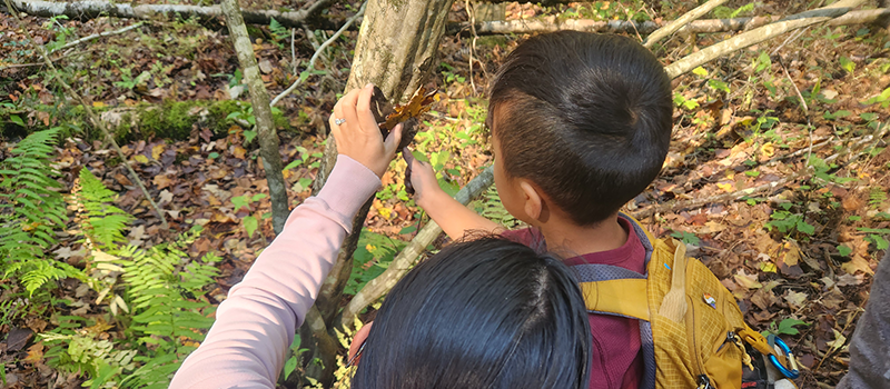 Program participants using clay to make tree faces at Baltimore Woods Nature Center.