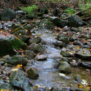 Boulder Brook (Baltimore Woods)_square Boulder Brook at Baltimore Woods