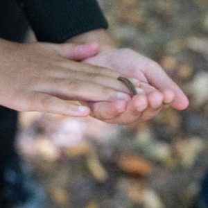 FieldTrip_InsectinHands_400x400