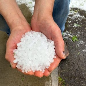 hail July 2025 from Donna & Doug Connery, Berkshire, NY_400x400