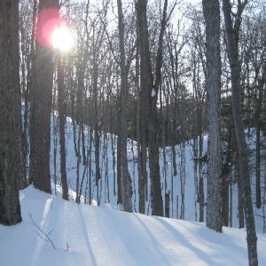 Faust garden overlook 1_400x400