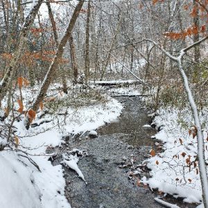 Snowy Stream_400x400