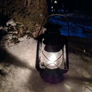 lantern light by tree_400x400