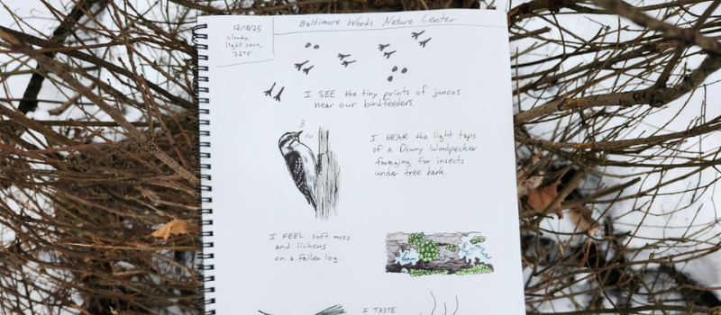 Nature journal page