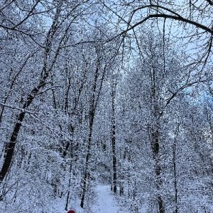 SnowyHike_VidlerProperty_400x400