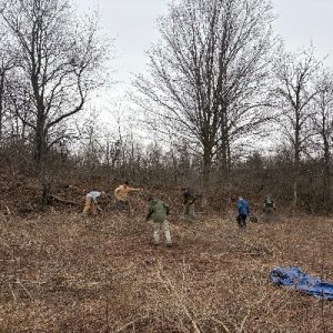 BrushClearing_TeamEffort_Stewardship_400x400