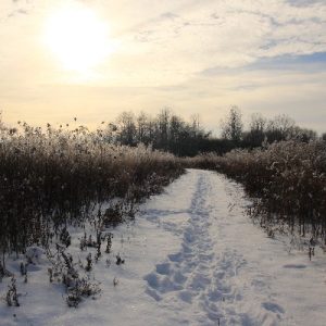 Snowy BW 2025_Trail_400x400