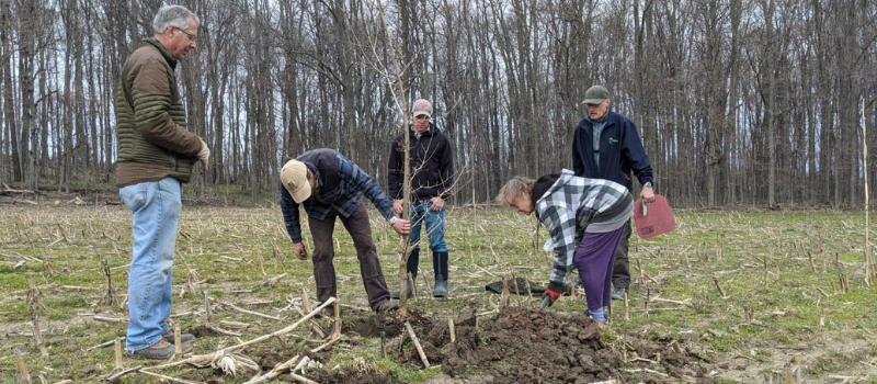 Group of people planting a tree