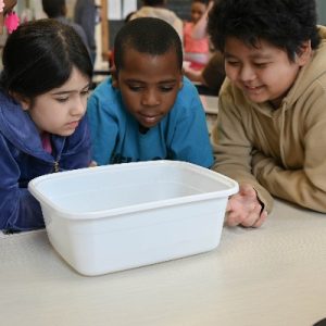 Creatures of a Deep_Students Looking at Creatures_400x400