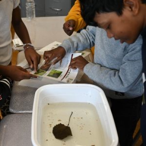 Creatures of the Deep_LookingatCreature_400x400