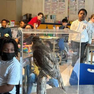 From The Bottom Up_2026_NatureintheCity_400x400