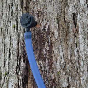 MapleTapping_Tubing_400x400