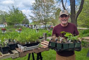 Volunteers set up the native plant sale in 2025