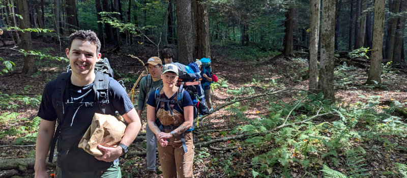 Group of people hiking in the forest