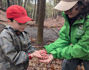 EarthDay2025_Salamander