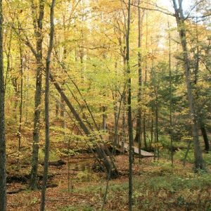 upstream bridge valley trail_400x400