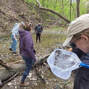 Exploring Stream Creatures_400x400