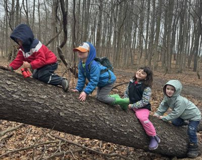 children playing on a fallen tree