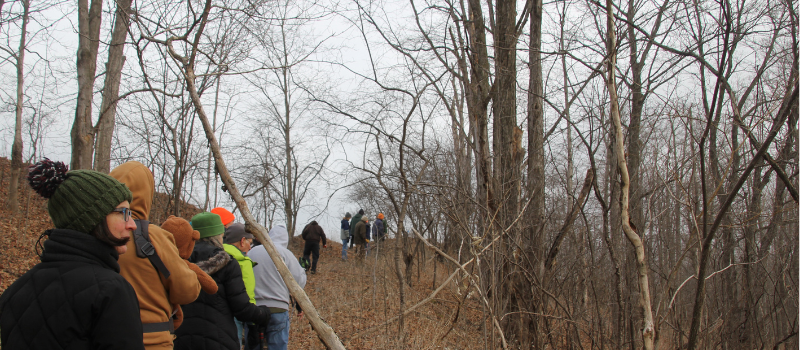 Hikers on a trial in fall