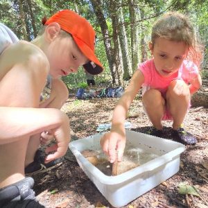 campers explore stream collection in bin_400x400