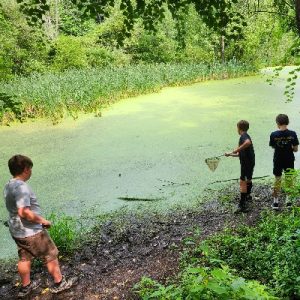 Campers Explore Pond with Nets_400x400