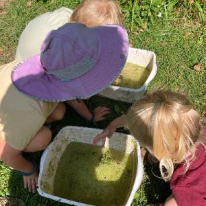 NLE_Campers_pondexploration_bins_400x400