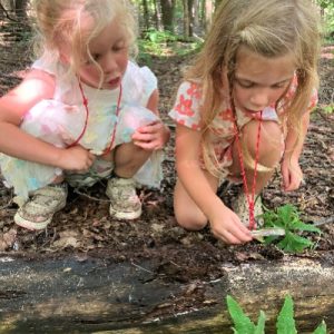 NLE_Campers_wMagnifying glasses_400x400